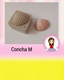 Concha m (n-480)