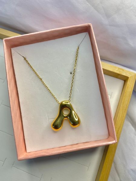 *colar inicial de aço inoxidável. Letras disponíveis : G/M/A/J/R/E/P/C/F/B/M