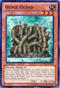 Hedge Guard BP01-EN157