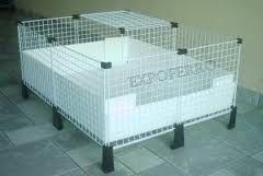 Gaiola Porquinho da India