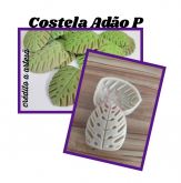 Costela de Adao P(N-504)