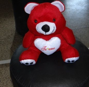 urso carinhoso p