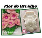 Flor do orvalho