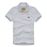 Polo Hollister HO2031