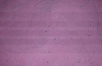 POLPA DESIDRATADA DE MORANGO - 500 gramas