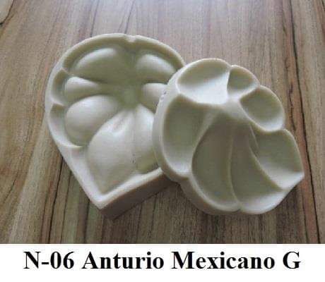 Anturio Mexicano G (n-06)