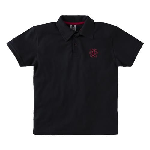 Camiseta Menino Gola Polo Com Bordado 6938