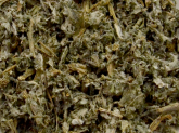 Alcachofra