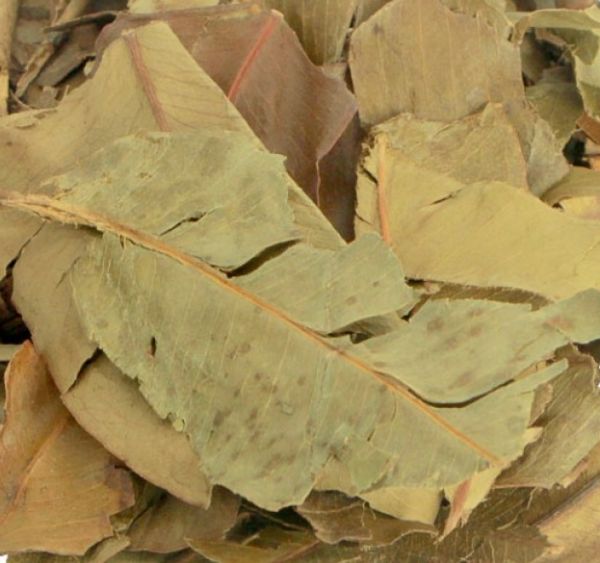 Jambolão 100g