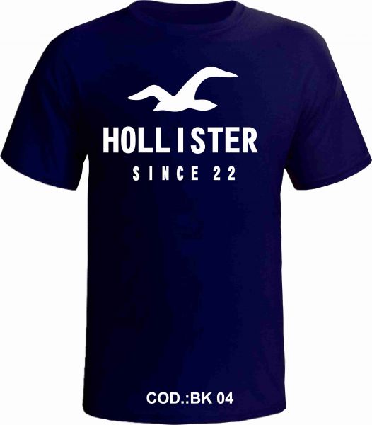 HOLLISTER SINCE 22-BK04