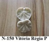 Vitória Régia P(n-150)