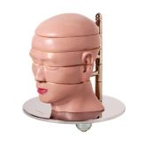 Cabeça em Disco, Corte Axial, em 5 Partes -CS/AT/TGD 0220-F
