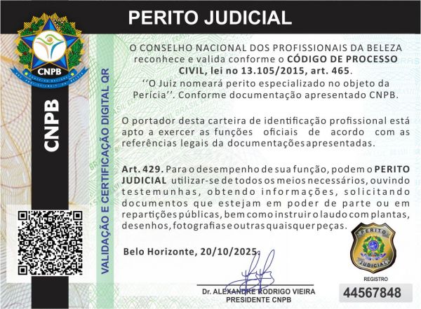 FERNANDA GONÇALVES FERNANDES