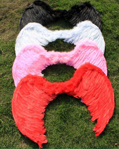 Asas de Anjo Cod 001