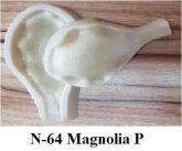 Magnólia(n-64)
