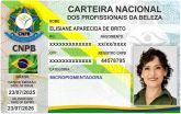 ELISIANE APARECIDA DE BRITO