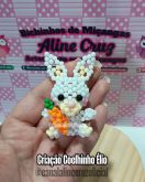 VIDEO AULA COELINHO ÉLIO