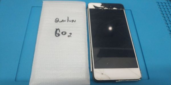 QUANTUM GO2