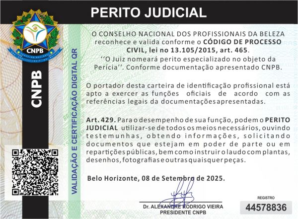 CRISTIANE RODRIGUES VIEIRA HONORATO