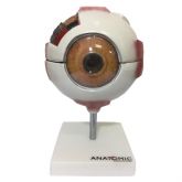 Olho Ampliado em 8 Partes-CS/AT/TGD-0307