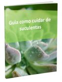 Guia Como Cuidar de Suculentas