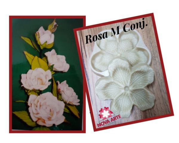 Rosa M Conj. (n-92)
