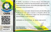 BRENDA GONCALVES MARTINS DE ALMEIDA