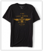 Camiseta Aeropostale - Lake Huron