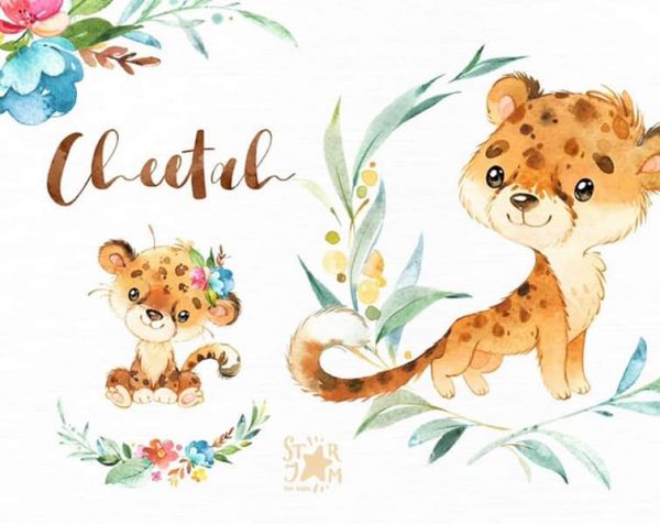 Kit elementos cliparts Aquarela tigre