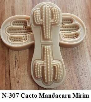 Cacto Mandacaru Mirim (N-307)