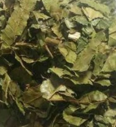 Pariparoba 100g