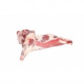 FROZEN BEEF FOREQUARTER A GRADE