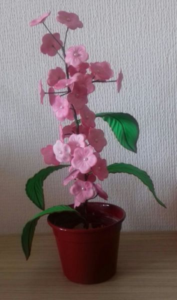 Flor primavera