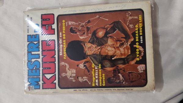 MESTRE DO KUNF FU NR 018