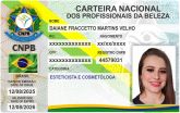 DAIANE FRACCETTO MARTINS VELHO