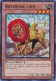 Botanical Lion BP01-EN145