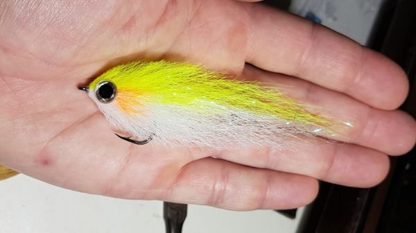 FINE HAIR (Baitfish Belly)