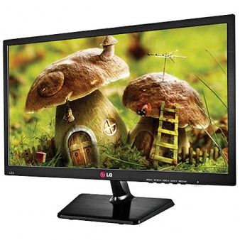 Monitor LG LED 19,5 polegadas 20EN33SS