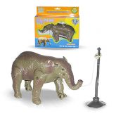 SD1749 - ELEFANTE C/RODAS NA PATA