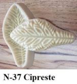 Cipreste(n-37)