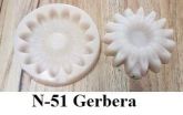 Gerbera(n-51)