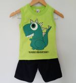 Conjunto Infantil Dinossauro Verde 3D