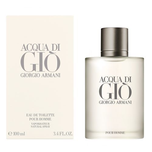 Acqua Di Giò Homme Giorgio Armani - Perfume Masculino - Eau de Toilette - 100ml