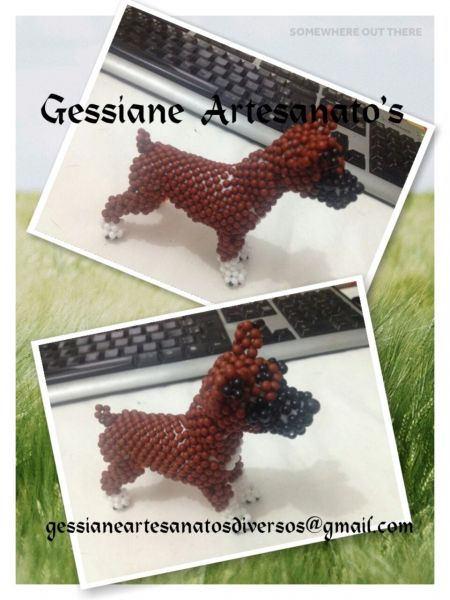 Passo a passo Cão Boxer