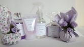 Mini Kit Lavanda