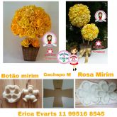 Roa/Botão mirim e Cachepo quadrado