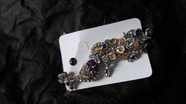 Broche super estiloso