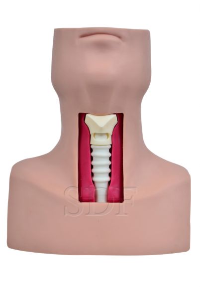 Simulador de Traqueostomia-CS/SD-4047