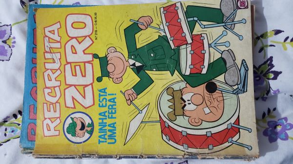 RECRUTA ZERO RGE NR 219