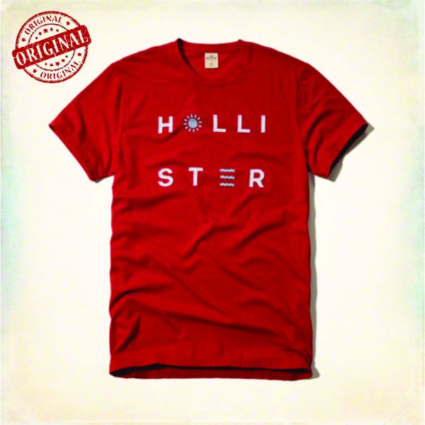 Camiseta Hollister-Applique Logo Graphic Tee